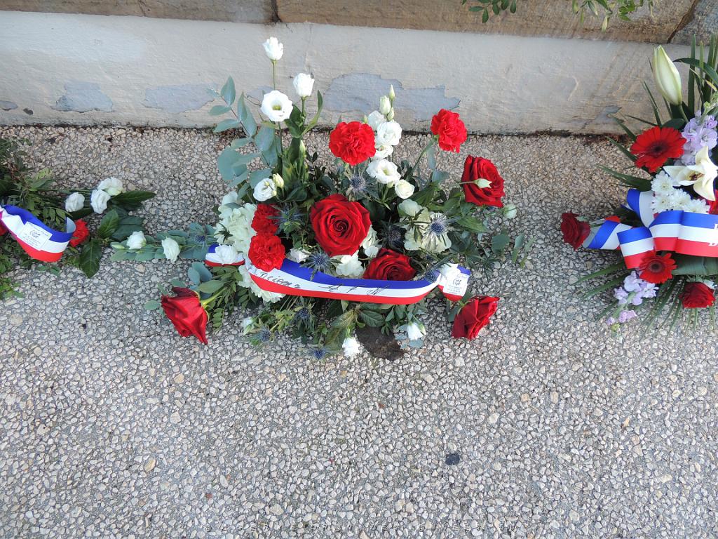 2022 12 05 TOULON HOMMAGE AUX MORTS POUR LA FRANCE EN AFN (3).JPG -           